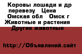Коровы лошади и др перевезу › Цена ­ 15 - Омская обл., Омск г. Животные и растения » Другие животные   